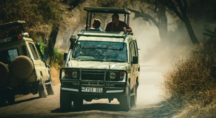 Dwa samochody terenowe jadące w pyle podczas tanzania safari. Ludzie stoją w otwartych dachach, obserwując dziką przyrodę.