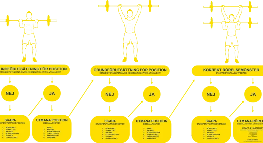 Diagram som visar hur man bygger dynamisk styrka genom att utvärdera grundförutsättningar och utmana positioner.