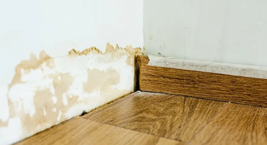 Dégâts sur un mur blanc dus à une infiltration d'eau, avec des traces de moisissure et de peinture écaillée près du sol et de la plinthe en bois.