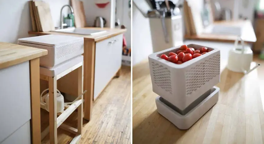 Un frigo sans électricité, un concept ingénieux pour conserver les aliments. Ici, des tomates cerises dans un récipient ajouré, sur un plan de travail en bois.