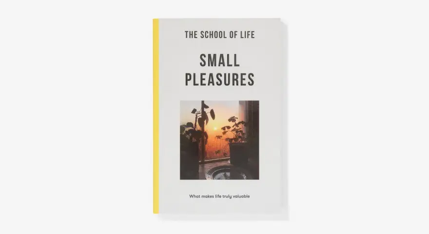The School of Life book cover, "Small Pleasures," features a sunset view through a window with houseplants, reminding us of life's simple pleasures.