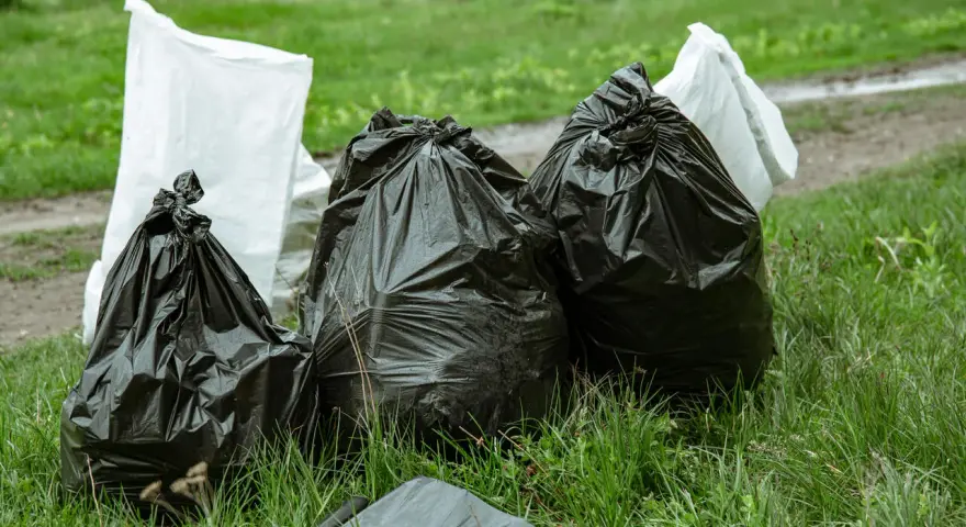 Workmen's bags of garden waste, including branches, sit on the grass. Czy można wywieźć gałęzie do lasu? This is not the right place.