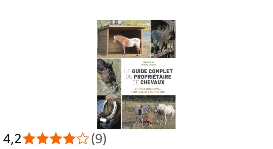 Un cheval espagnol pie dans un abri, entouré d'images sur l'entretien équin. Ce guide complet est une mine d'informations.