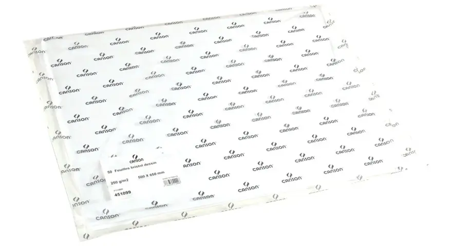 Un paquet de 50 feuilles de papier bristol Canson, idéal pour le dessin. Ce papier de 250 g/m² est prêt pour toute utilisation créative.