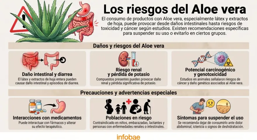 Infografía sobre los riesgos del Aloe vera, incluyendo contraindicaciones del aloe vera en la piel, daño intestinal, riesgo renal y potencial carcinogénico.