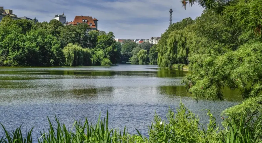 Grüne Ufer und ein ruhiger See am Lietzensee Berlin. Im Hintergrund ragen Gebäude und ein Fernsehturm auf.