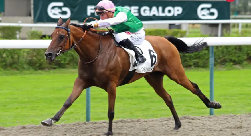 Un jockey en tenue verte et rose monte un cheval brun portant le numéro 6, "DEUVILLE", sur la piste. Le dp poney est en pleine course.