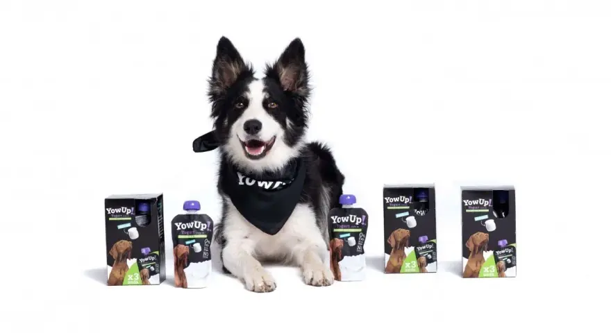 Jogurt naturalny dla psa na co pomaga – odkryj zdrowotne korzyści