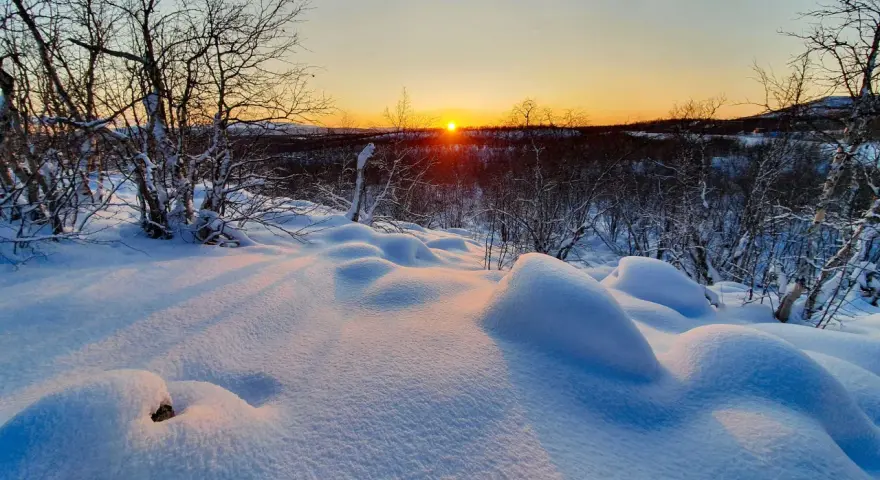 Snöklädda kullar och träd i solnedgångens gyllene ljus. En bilduppgift vinter som fångar den magiska stämningen i norra Sverige.