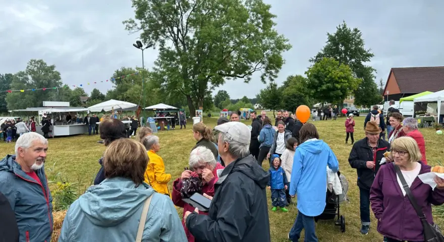Menschen genießen das inselfest Mirow bei bewölktem Himmel. Stände und Bäume säumen die grüne Wiese.