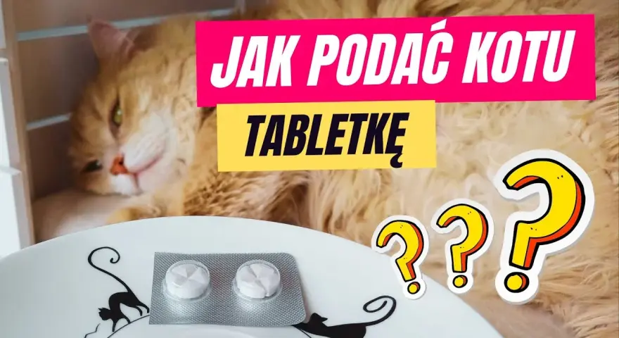 Jak podać kotu tabletkę na odrobaczanie bez stresu i problemów