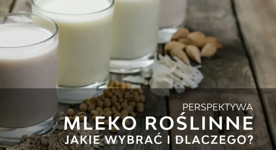 Co to jest mleko roślinne? Poznaj zdrowe alternatywy dla mleka krowiego