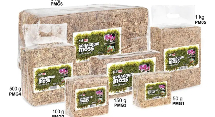 Różne opakowania mchu sphagnum. Dowiedz się, jak używać mech sphagnum do storczyków i terrarium.