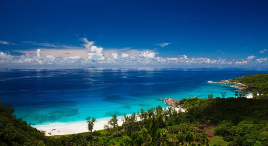 Zanzibar jaki ocean? Błękitne wody Oceanu Indyjskiego oblewają rajską plażę z białym piaskiem, otoczoną bujną zielenią.