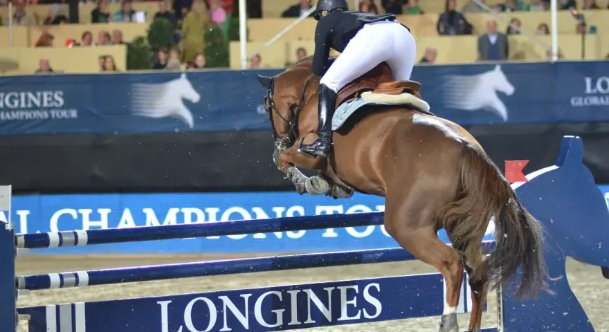 Un cavalier pro et son cheval brun franchissent un obstacle lors d'une compétition d'équitation.