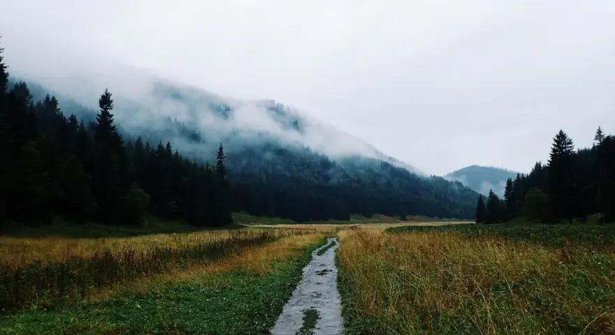 Mgliste Tatry, idealne tatry szlaki na deszczowe dni. Mokra ścieżka prowadzi przez łąkę do lasu, gdzie chmury otulają szczyty.
