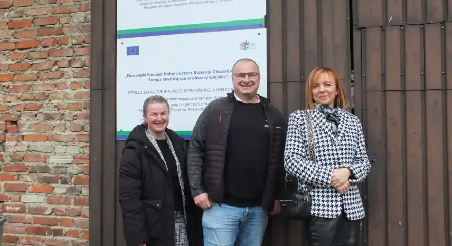 Kto rządzi spółdzielnią? Poznaj swoje prawa i strukturę