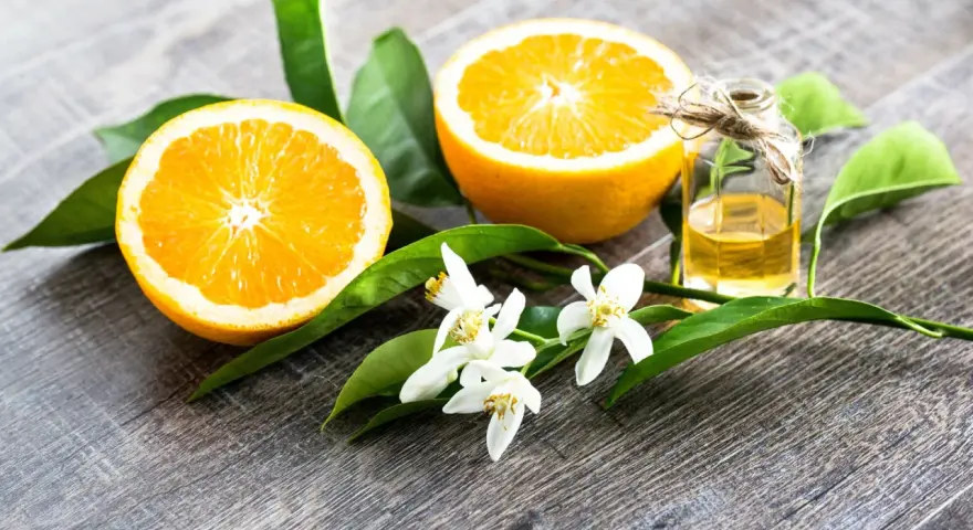 Oranges, leaves, and delicate fleur d'oranger blossoms surround a small bottle of essential oil, evoking the scent of citrus groves.