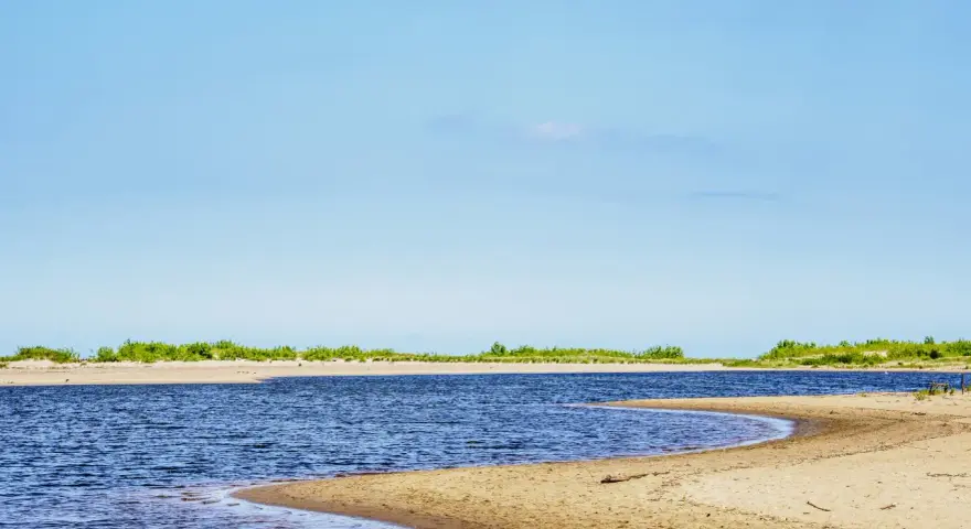 Szeroka, piaszczysta plaża i spokojne wody w miejscu, gdzie Wisła wpada do morza. Zielone zarośla na horyzoncie.