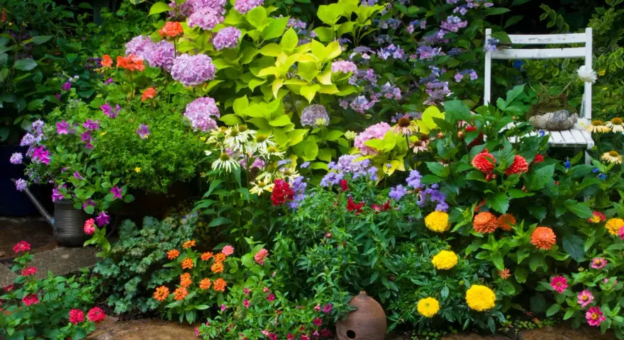 Jardín vibrante con **plantas de exterior resistentes** en tonos rosas, naranjas y morados. Una silla blanca y una regadera antigua añaden encanto.