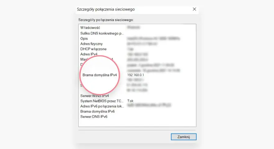 Szczegóły połączenia sieciowego: Brama domyślna IPv4 to adres IP routera 192.168.0.1.