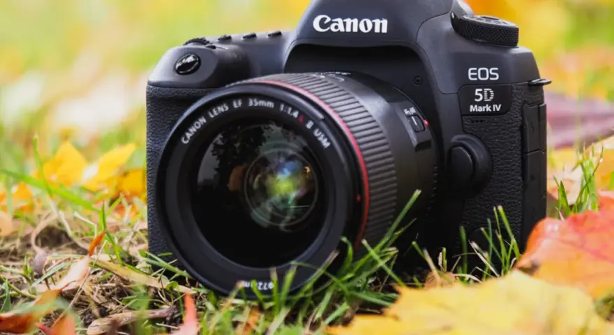 Profesjonalny aparat Canon EOS 5D Mark IV z obiektywem 35mm leży wśród jesiennych liści.