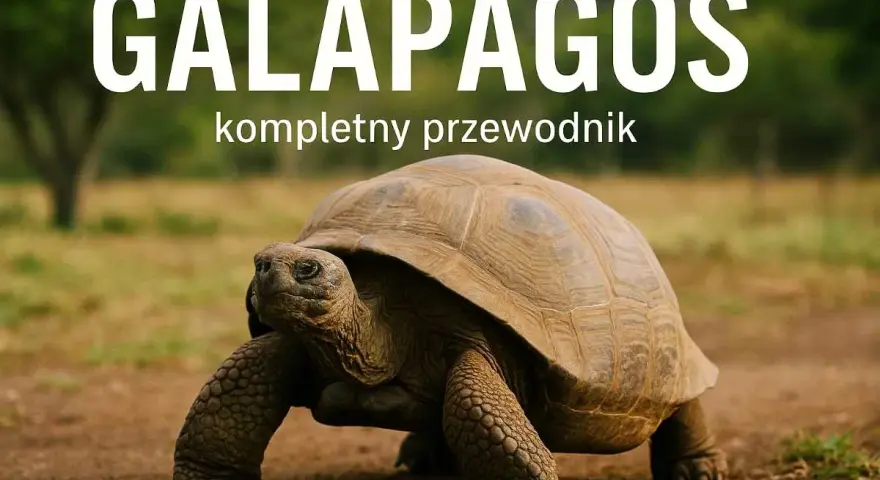 Galapagos: przewodnik po świecie gigantycznych żółwi. Ten potężny gad przemierza wyspy, będąc żywym symbolem tego niezwykłego miejsca.