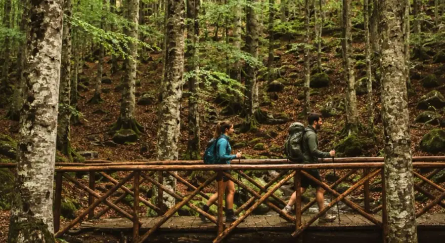 Co fare sul Monte Amiata: escursionisti attraversano un ponte di legno in un bosco di faggi.