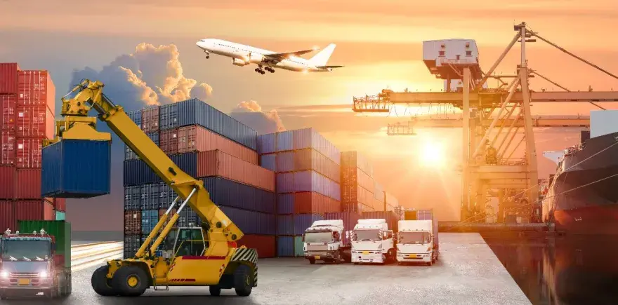 Logistyka co po studiach: Jak uniknąć pułapek na rynku pracy?