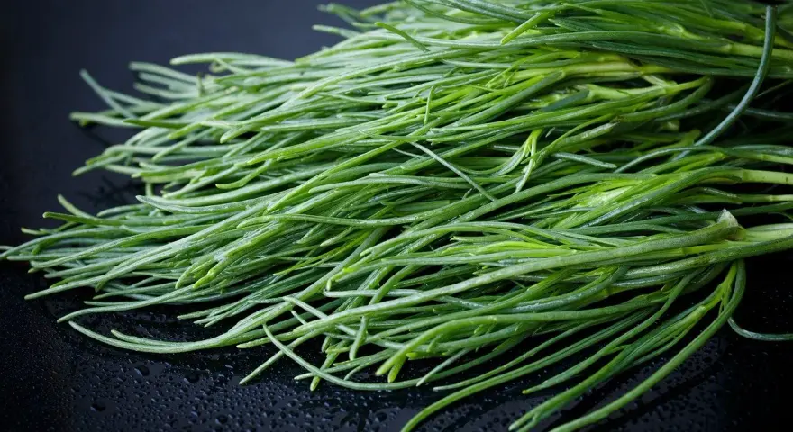 Un fascio di agretti freschi, pronti per essere cucinati, simbolo della loro stagione.