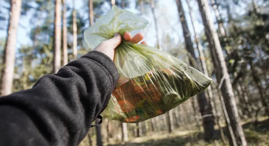 Ręka trzyma worek ze śmieciami w lesie. Zasady "leave no trace" to dbanie o przyrodę.