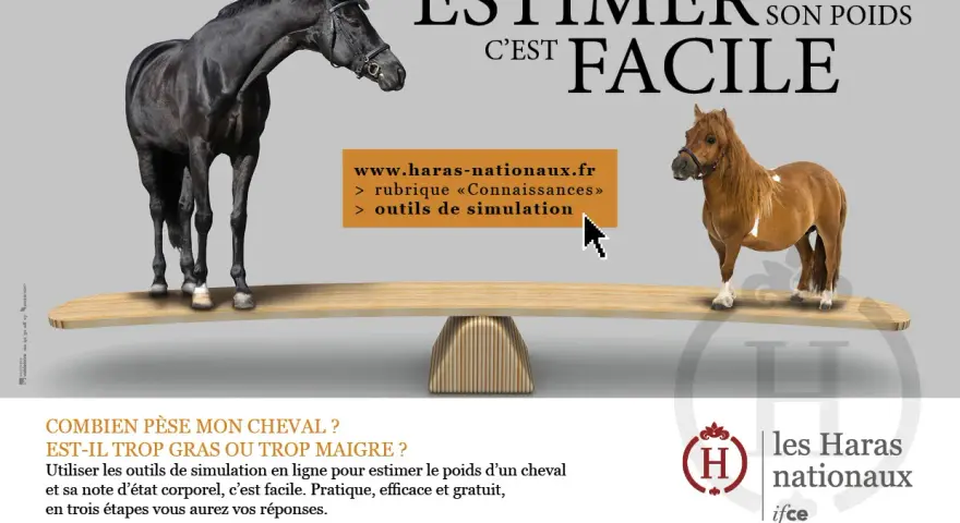 Un grand cheval noir et un petit poney brun sont sur une balance. Estimer le poids cheval est facile avec les outils en ligne des Haras Nationaux.