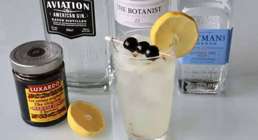 Tom Collins i John Collins – składniki do drinków: gin Aviation, The Botanist, Plymouth, wiśnie Luxardo i cytryna.