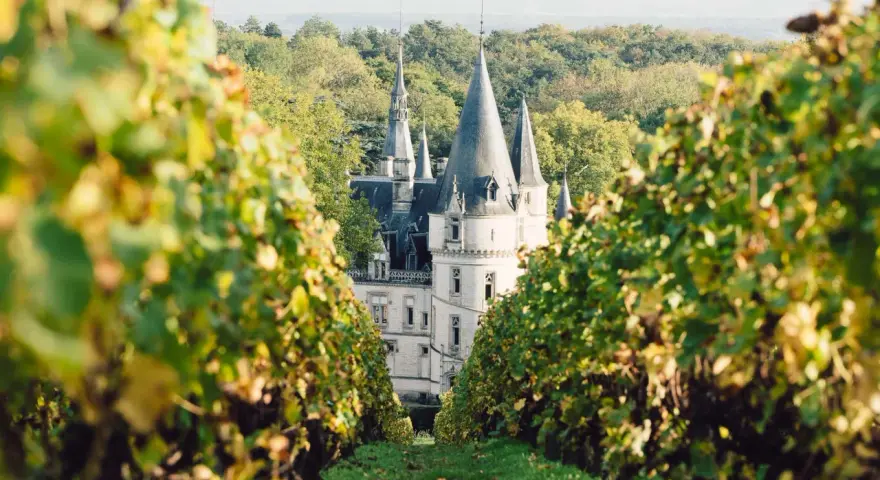Un château majestueux se dévoile entre les vignes, invitant à visiter Reims à pied.
