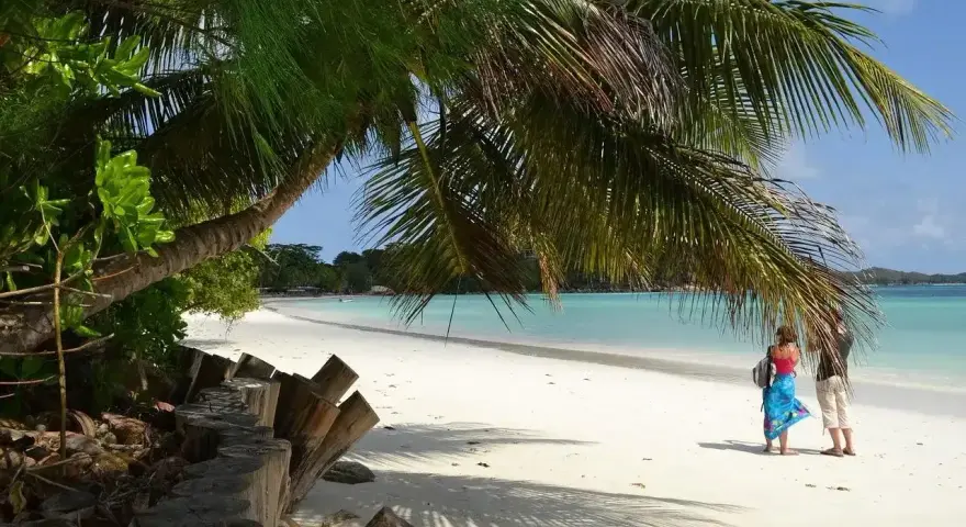 Rajska plaża, palmy, turkusowa woda – tak właśnie wyglądają Seszele. Dwie osoby pod palmą podziwiają widok.