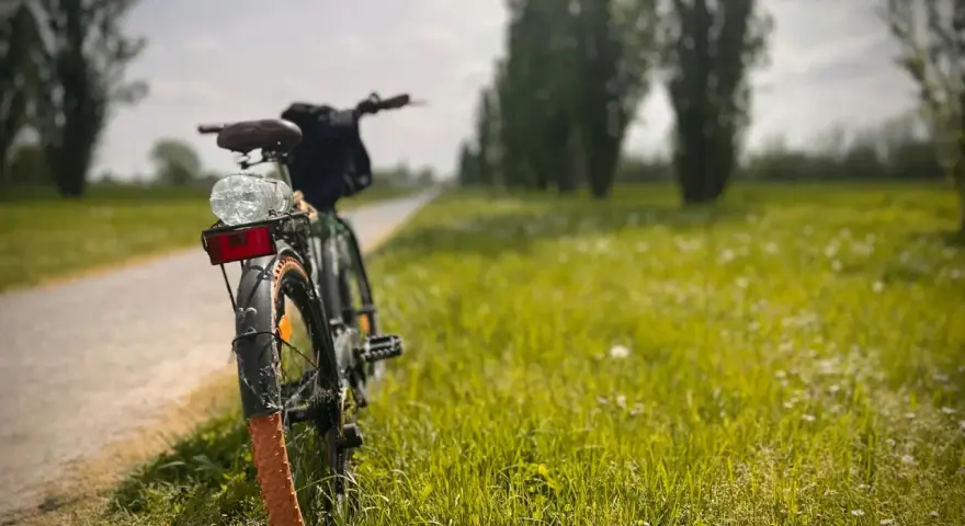 Rower na ścieżce w trawie, gotowy do wycieczki po malowniczych górach Pieniny.