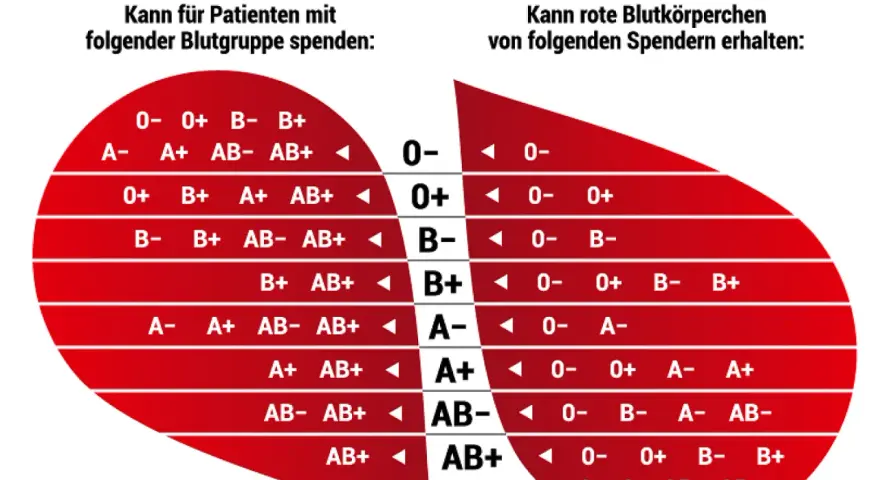 Blutgruppe 0 positiv ist ein universeller Spender. Die Tabelle zeigt, wer von wem Blut erhalten kann.