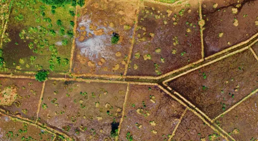 Vista aérea de campos divididos por caminos, con parches de vegetación verde y marrón. El **suelo urbanizable** se vislumbra entre la tierra húmeda y la vegetación.