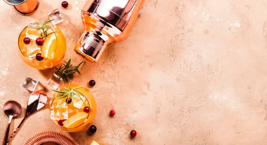 Zwei erfrischende Cocktails mit Orange, Beeren und Rosmarin, dazu ein Shaker. Wer denkt bei diesem Anblick an Wodka Kalorien?
