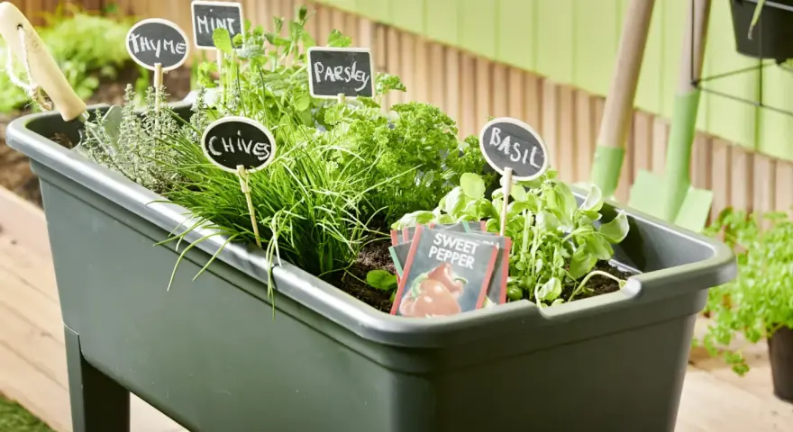 Un **orto facile** con erbe aromatiche: basilico, prezzemolo, erba cipollina, menta e timo. Piccoli cartelli indicano le piante.