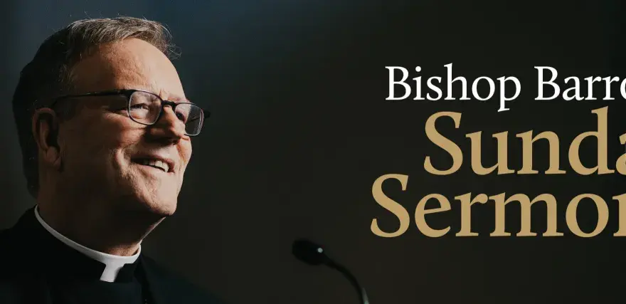 Bishop Barron's Sunday Sermons, featuring homilies for the 33rd Sunday of Year B.