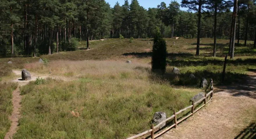 Kamienne kręgi, niczym polskie Stonehenge, otoczone lasem i wrzosowiskiem.