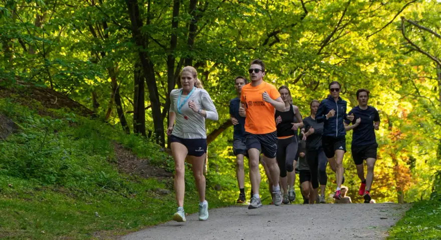 En grupp löpare tränar för en marathon distans i en grönskande park.