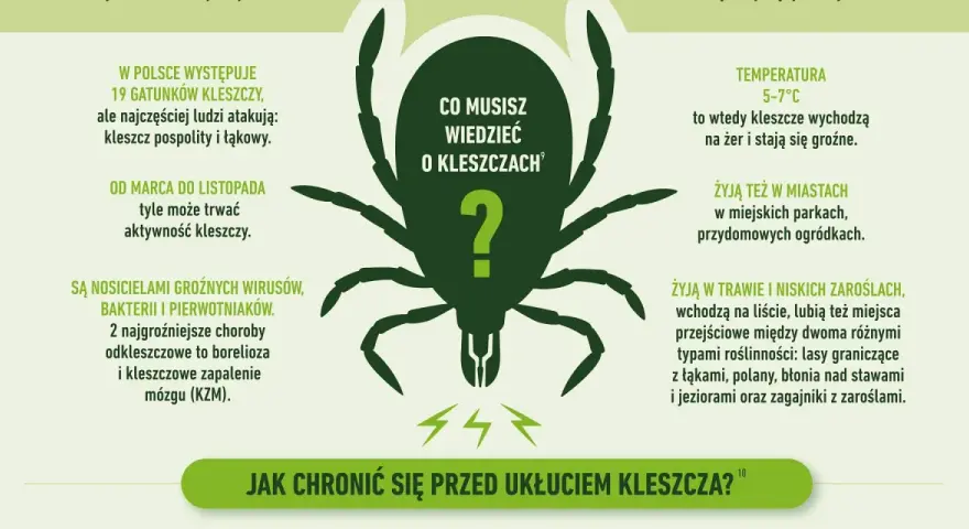 Grafika informuje o kleszczach, ich aktywności i zagrożeniach. Warto rozważyć szczepionkę na kleszcze, by uniknąć chorób.