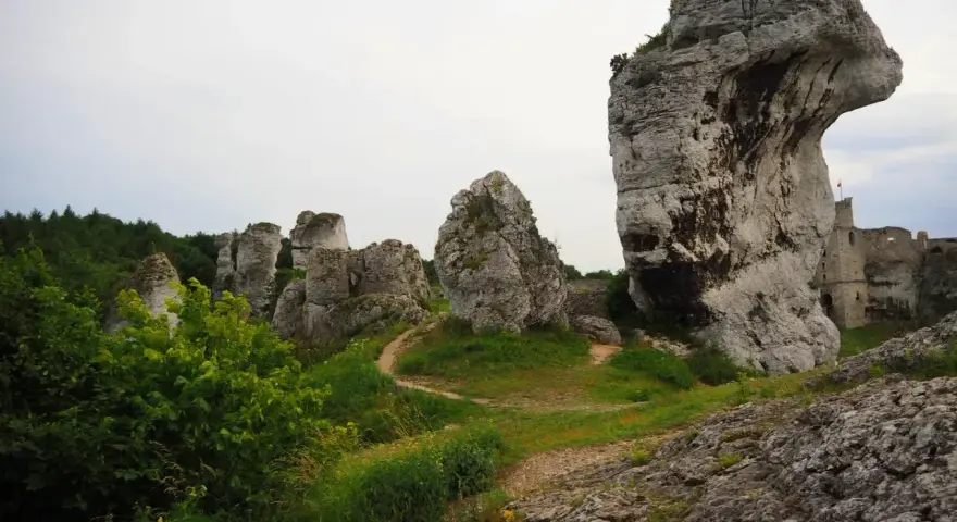 Skały wapienne na wyżynie krakowsko-częstochowskiej, z ruinami zamku w tle.
