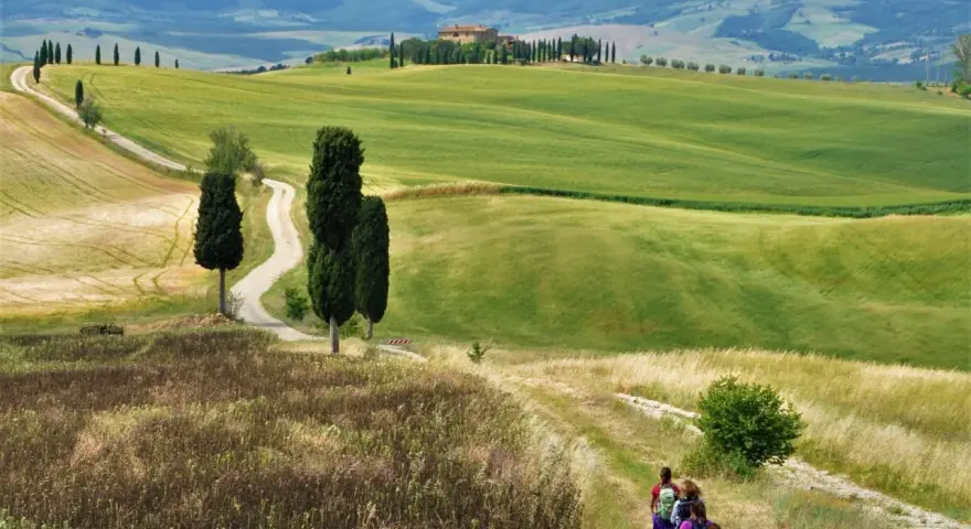 Un sentiero serpeggia tra dolci colline verdi nel Val d'Orcia provincia, con cipressi e una casa colonica in lontananza.