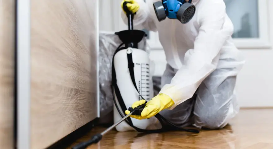 Persona con traje protector y máscara usa un fumigador de cucarachas para desinfectar un área.