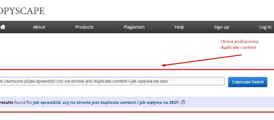 Duplicate content: Jak wykryć i wyeliminować? Pełen poradnik.