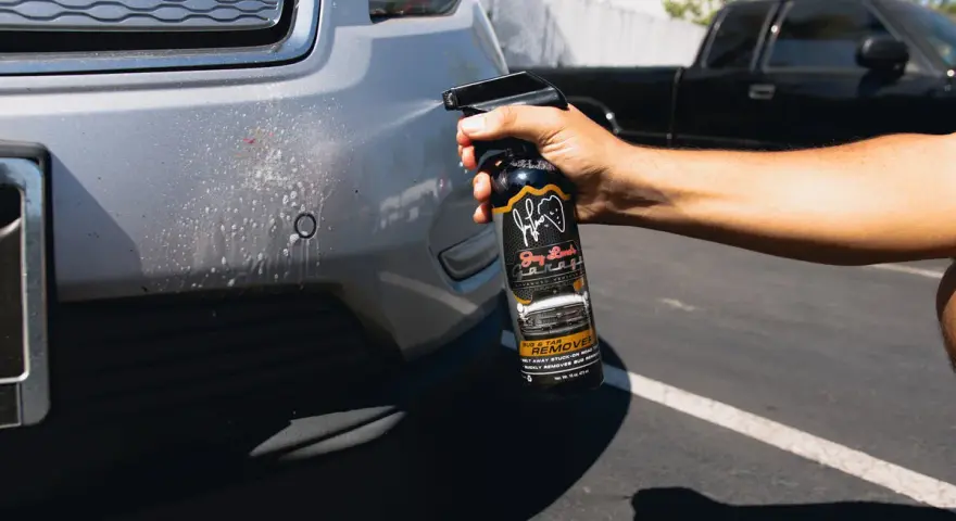 A hand sprays bug remover onto a car bumper, tackling stubborn bugs from a road trip.