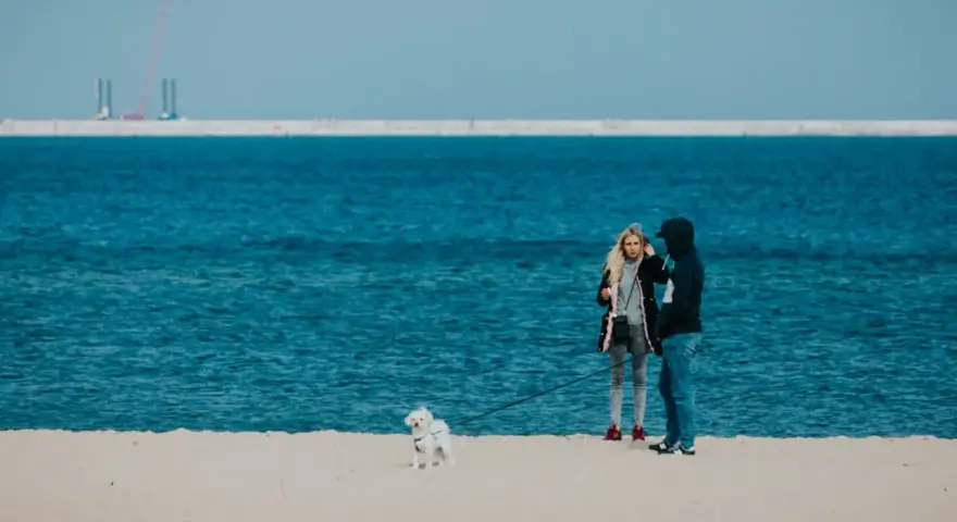 Gdańsk: Z centrum na plażę jak szybko i wygodnie?